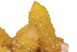 Sunshine Cactus Quartz Crystal Cluster - South Africa #217976-2